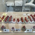 銀花堂 - 2025.08.16 (土)
