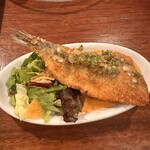 オットノーヴェ - 