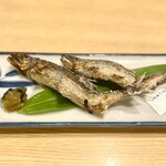 吉田屋 美濃錦 - 