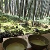 休耕庵 竹の庭の茶席