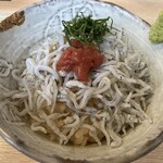江戸政寿司 - しらす丼