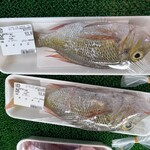 お魚市場 はるみ鮮魚 - 