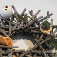 ad hoc  - 
