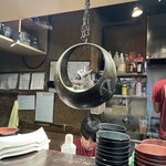 酒肴庵 国分寺 恵比寿屋本店 - 