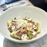 ジャヌ メルカート - カラマラータ・タコのラグー・インゲン・セロリジェノベーゼ