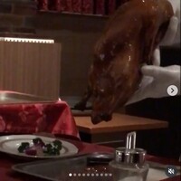 China Four Seasons 六本木店 - 