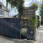 CLAMP COFFEE SARASA - 