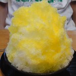 ただおみ温泉 - かき氷レモン300円