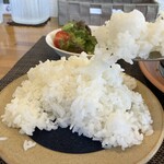 ポトフ - ライス