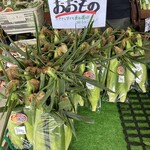 たてしな自由農園 - 甘さ強烈ぅ〜　それワカチコワカチコ♪