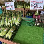 たてしな自由農園 - 会計済ませて外に出て来たら
ドルチェドリームは完売してました（；゜０゜）
まだ朝の09:00過ぎですよ