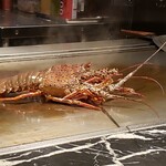 鉄板バル ラタンタ - 