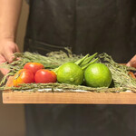 JINBO MINAMI AOYAMA - 次の食材｡ライムとトマトとオクラ｡