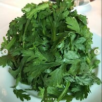 トラットリア グランボッカ - 