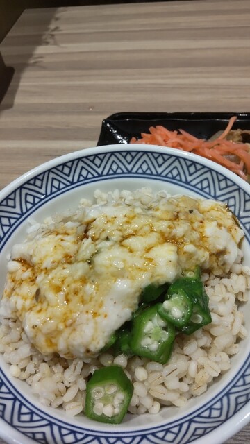 Yoshinoya Tsujihondori Ten