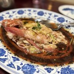 広東料理処お好み焼き 千代 - 