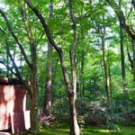 カフェ ラフィーネ - 