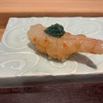 鮨菜 和喜智 - 礼文島のボタンエビ