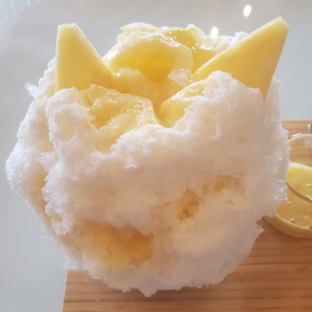 Pan Dachanpion photo 5