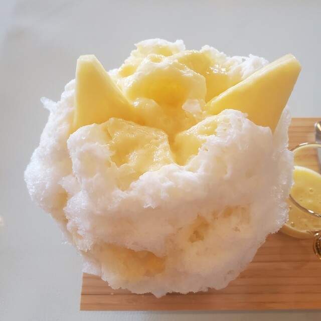 Pan Dachanpion photo 3