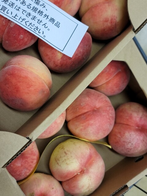 んめ～べ - 向瀬上（その他）の写真