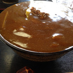 カレー南蛮普通盛り