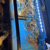 網元 別館 - 