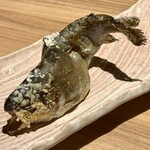 山 ワンランク上の世界の山ちゃん - 