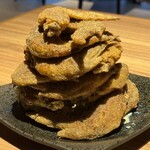 山 ワンランク上の世界の山ちゃん - 