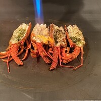 京都 鉄板焼 grow - 伊勢海老♪伊勢海老♪