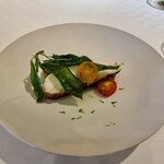 デルフィーナ - 