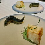 デルフィーナ - 