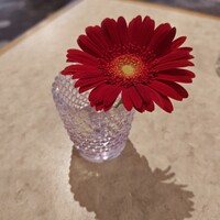 メインダイニング いと桜 - 