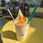 須藤牧場 - ドリンク写真:マンゴー 生シェイク フロート　１１００円　(2025/08)