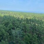 フェニックス・シーガイア・オーシャン・タワー - 