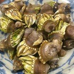 棟梁 - かめのて