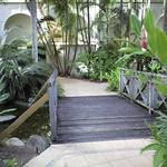 Mercure Cairns Harbourside - 庭