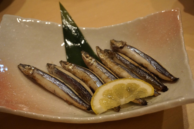 居酒屋 駿 三浦海岸 居酒屋 食べログ 居酒屋 駿 三浦海岸 居酒屋 食べログ