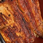 うなぎ藤田 浜松駅前店 - 