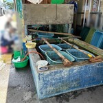 正立食堂 - ウニの選別作業中