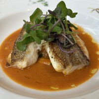 vino italiano zizi cucina - Bランチのメイン: 鯛のソテー アメリケーヌソース