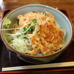 泰明庵 - 冷やし桜えびかき揚げ蕎麦