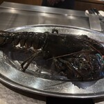 銀座 鉄板焼ORCA - 