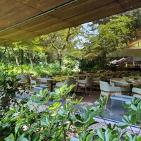 TEIEN Restaurant comodo - 