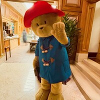 スプレンディード - パディントン
