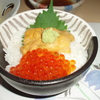 函館うに むらかみ 日本生命札幌ビル店 - ミニうにイクラ丼