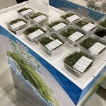 コストコ 小郡倉庫店 - 