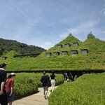 ラ コリーナ近江八幡 - 