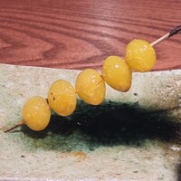 鳥さと 別邸 - 