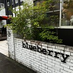 ブルーベリー - 外観